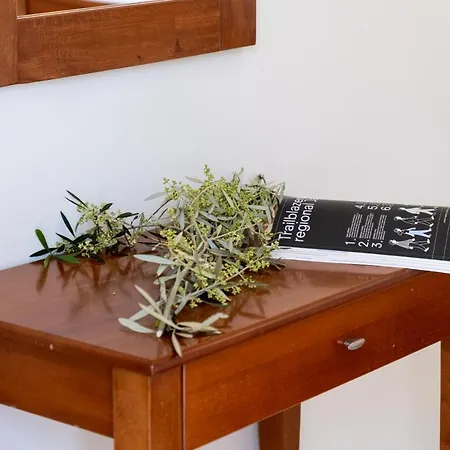 Club - 4 公寓 尼基亚娜